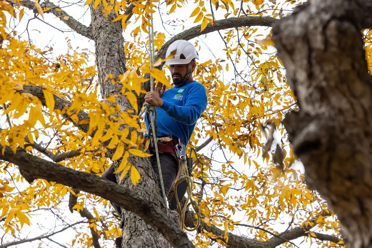 Skilled Storm Damage Cleanup crew working in Hometown