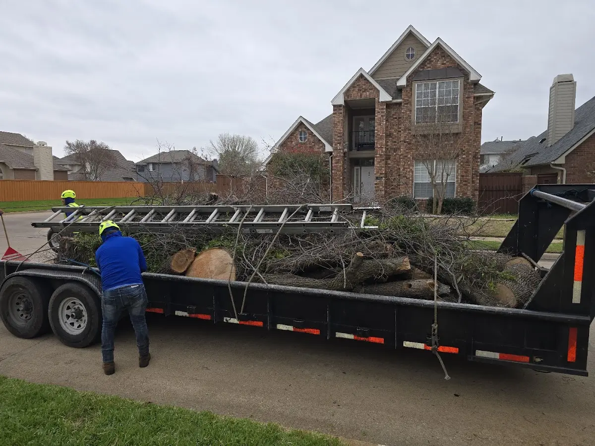 Expert Tree Fertilization with proper safety equipment in Hometown